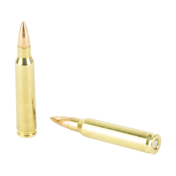Patriot Sports .223 Remington 55 Grain FMJ - 20 Round Box - Image 4