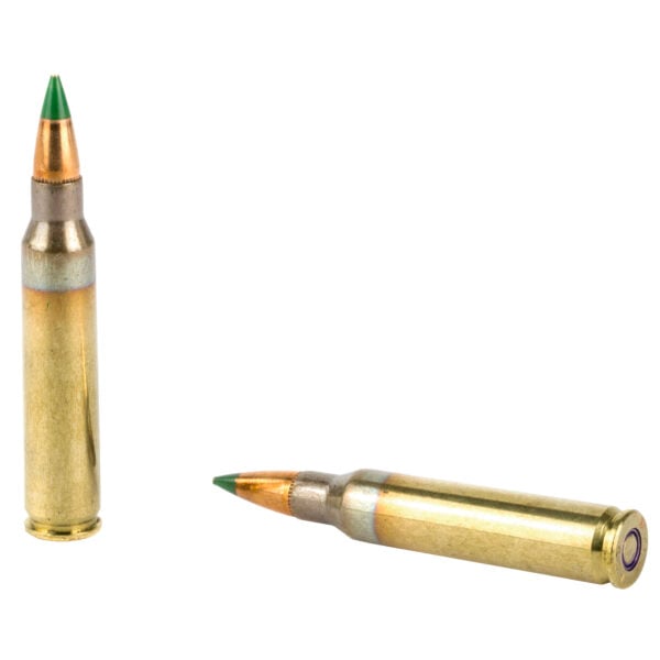 PMC X-TAC 5.56 NATO 62 Grain Penetrator - Green Tip - 20 Round Box - Image 2