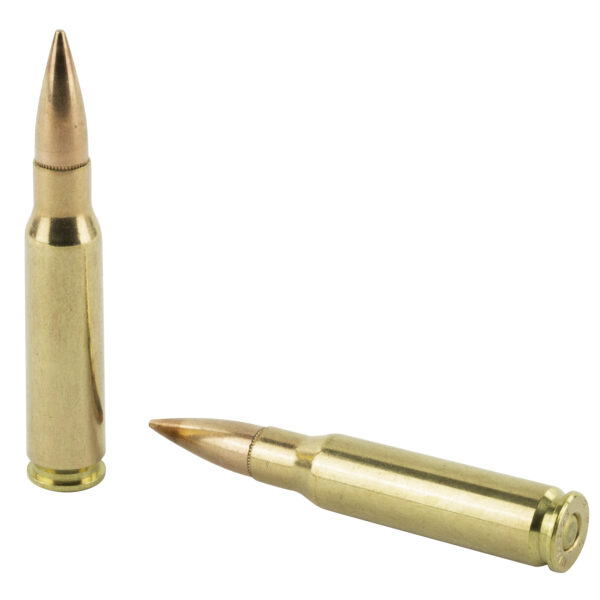 PMC Bronze .308 Winchester 147 Grain FMJ-BT - 20 Round Box - Image 2