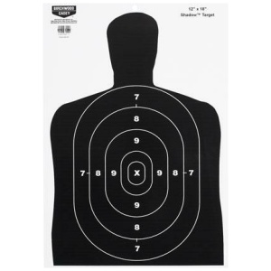 Birchwood Casey Eze-Scorer B27 Targets for Precision Shooting