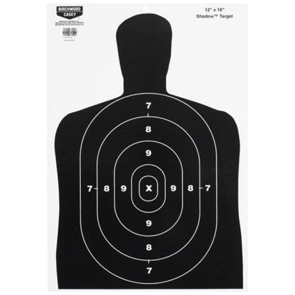 Birchwood Casey Eze-Scorer B27 Targets for Precision Shooting