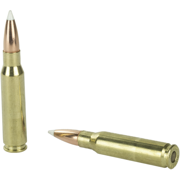 Nosler 308 Winchester Ammunition - 20 Rounds - Trophy Grade - Image 4