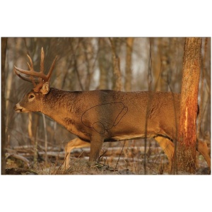 Birchwood Casey Eze-Scorer Whitetail Deer Targets 23x35
