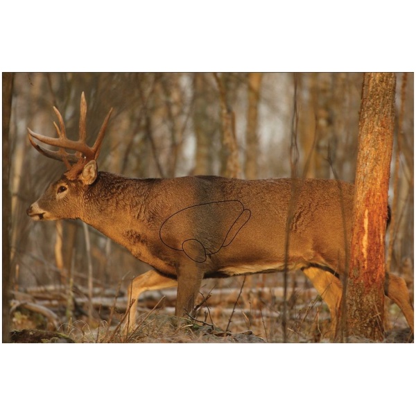 Birchwood Casey Eze-Scorer Whitetail Deer Targets 23x35