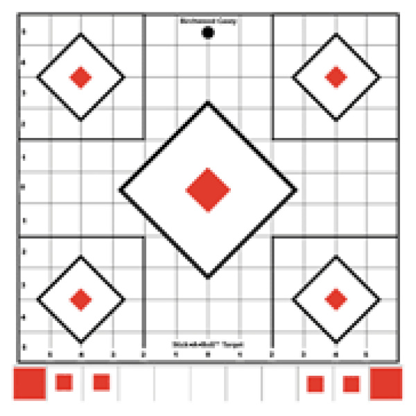 Elevate Accuracy with Birchwood Casey Stick-A-Bull Targets