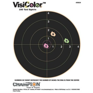 Champion VisiColor Targets 10-pack for Precision Shooting