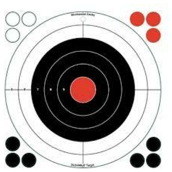 Birchwood Casey Stick-A-Bull Targets for Accurate Shooting