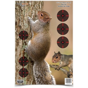 Birchwood Casey 12x18 Squirrel Target Pack for Precision Shooting