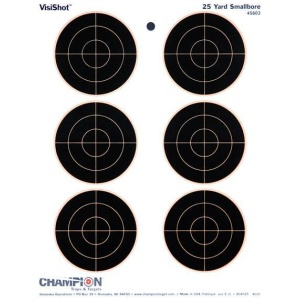 Champion VisiShot 10-Pack Bull's Eye Targets for Precision Shooting