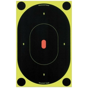 Birchwood Casey Shoot-N-C 7" Target for Precision Training