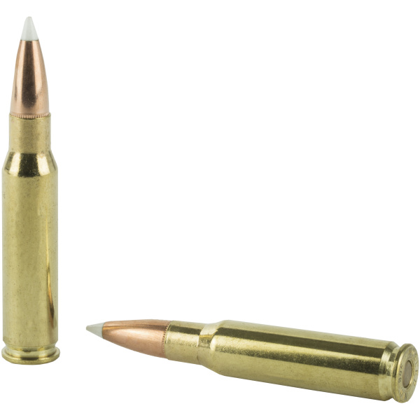 Nosler Trophy Grade 308 Winchester Ammo - 20/Box - Image 4