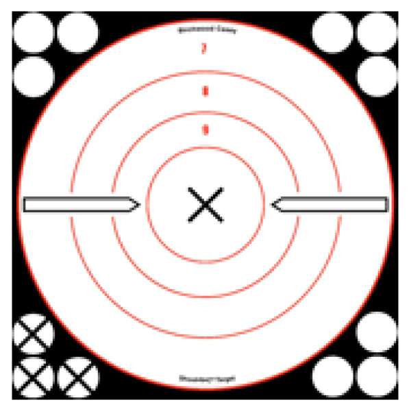 BLACK X-BULL'S-EYE 6 Targets with Instant Hit Visibility