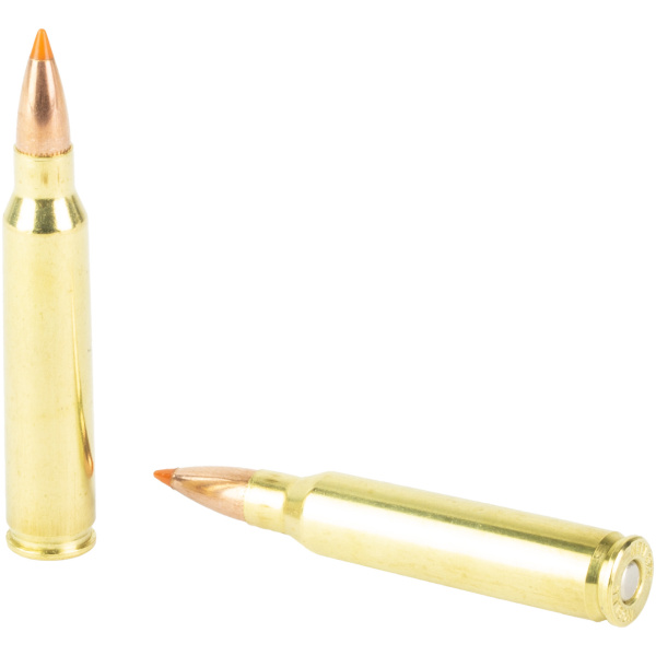 Nosler 223 Rem 55gr Ballistic Tip Ammo (20ct) - Image 4