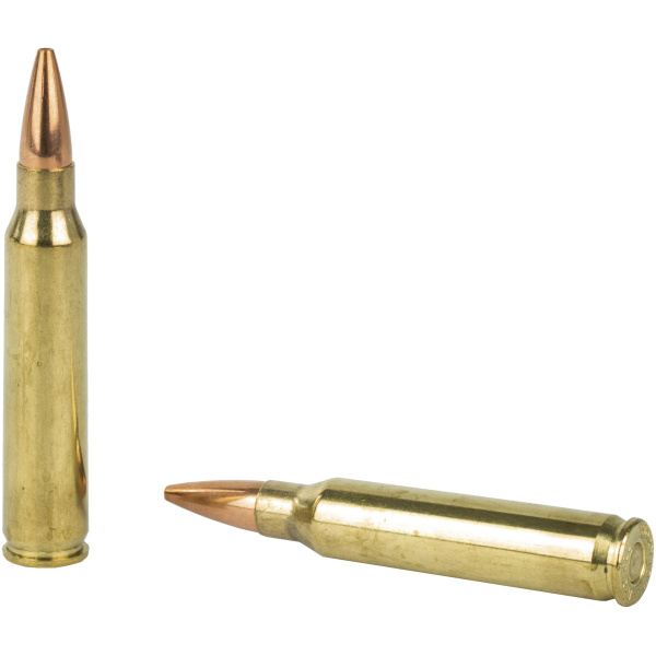 Hornady BLACK 223 Rem 75 Box: Versatile Ammo Performance - Image 4
