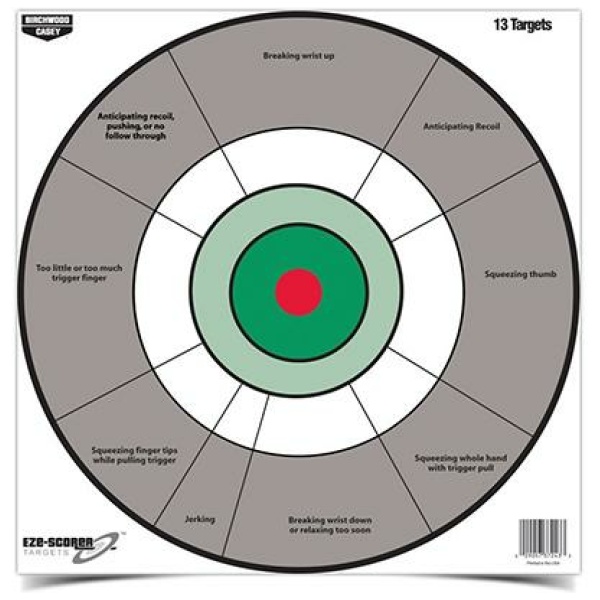 Birchwood Casey EZE-Scorer 12" Handgun Targets for Training