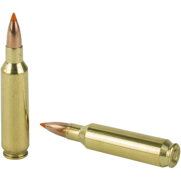 Nosler 22 Nosler 55gr Ballistic Tip Ammo (20ct) - Image 4