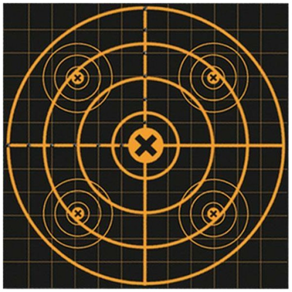 Birchwood Casey Big Burst Targets for Precision Shooting