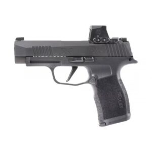 Sig Sauer P365XL 9mm Luger 3.7" Barrel 10-Round Magazines