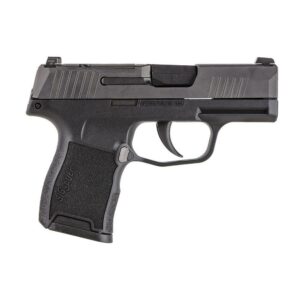 Sig Sauer P365-380 Handgun 3.1" Barrel .380 Auto 10 Rounds