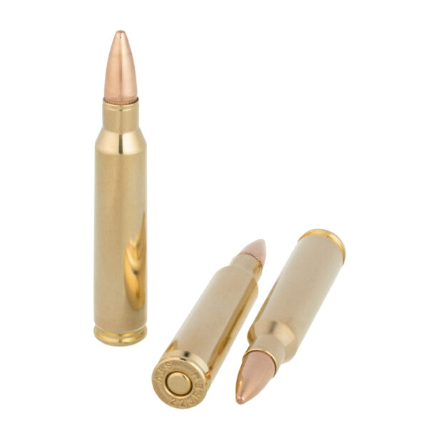 STV Technology Scorpio .223 Remington Ammo for Precision Shooting - Image 2
