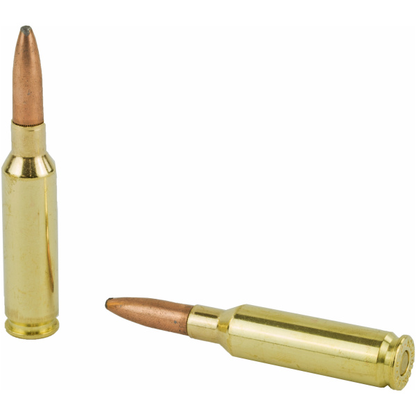 Two rifle bullets on white background.