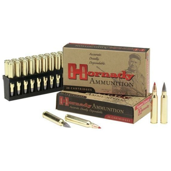 Hornady ammunition boxes and cartridges display.