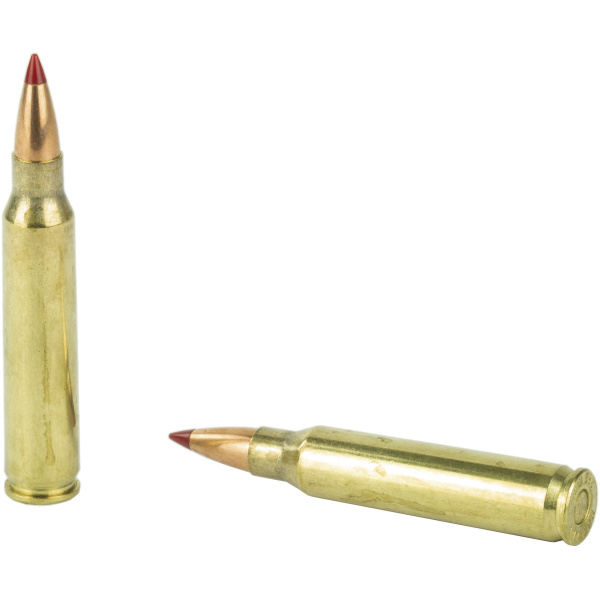 Two rifle cartridges on white background