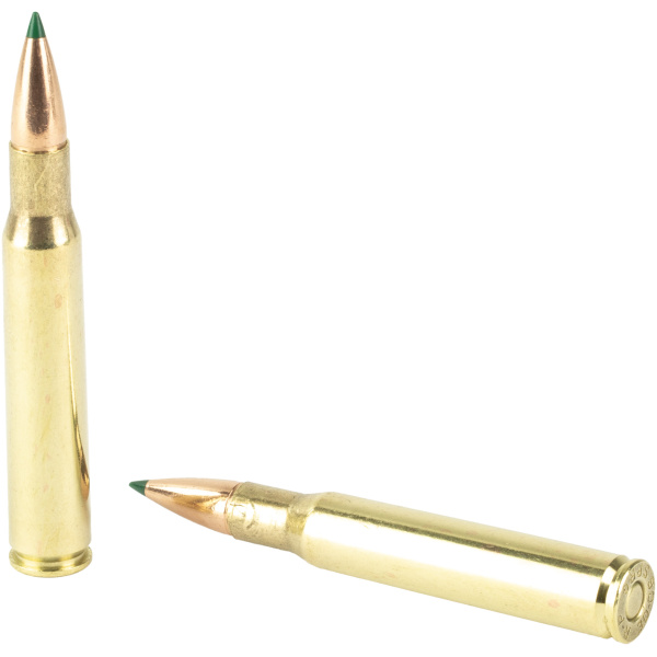 Two rifle cartridges, one standing, one lying down.