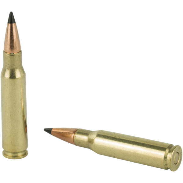 Two rifle bullets on white background