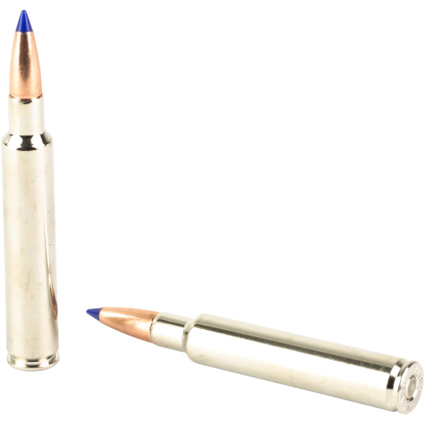 Two bullets with blue tips on white background