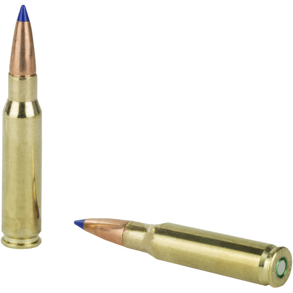 Two rifle cartridges on a white background.