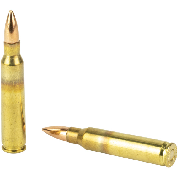Two rifle bullets on white background