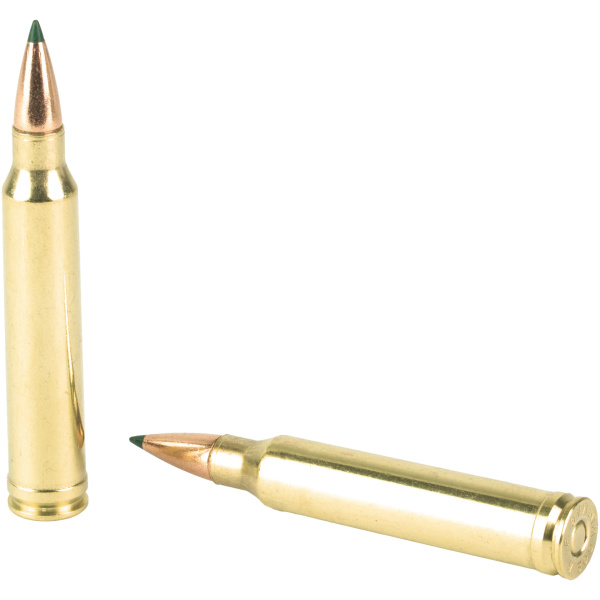 Two rifle bullets on a white background.