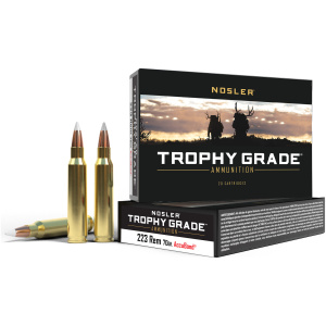 Nosler Trophy Grade ammunition box and cartridges