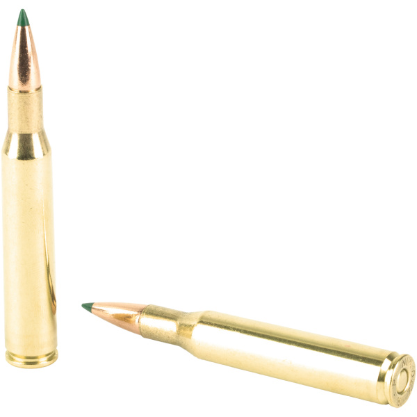 Two rifle bullets on white background