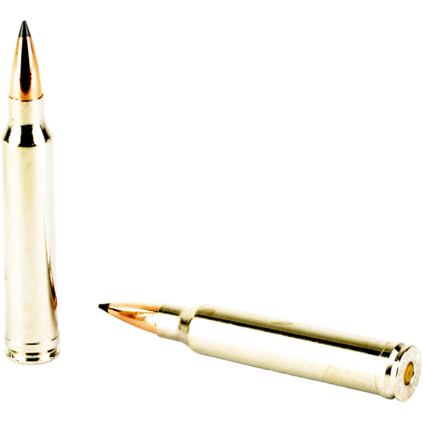 Two rifle bullets on white background.