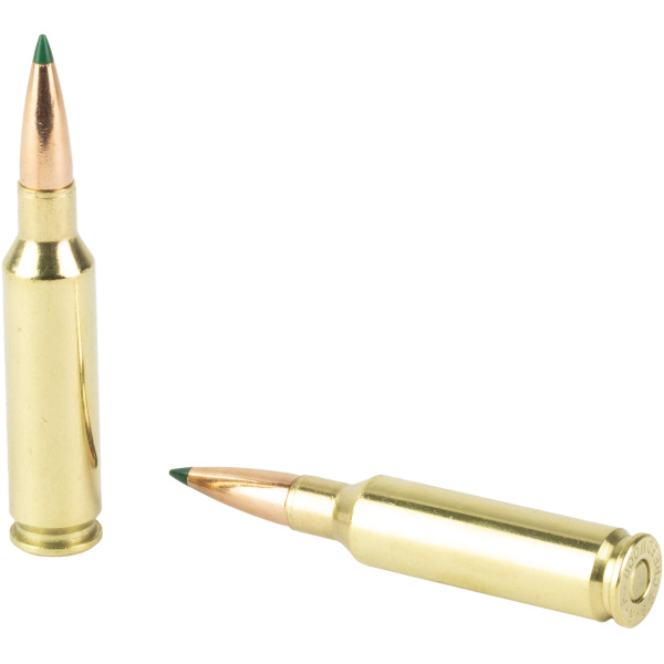 Two rifle cartridges, one standing, one lying down.