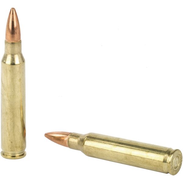 Two rifle bullets on white background.