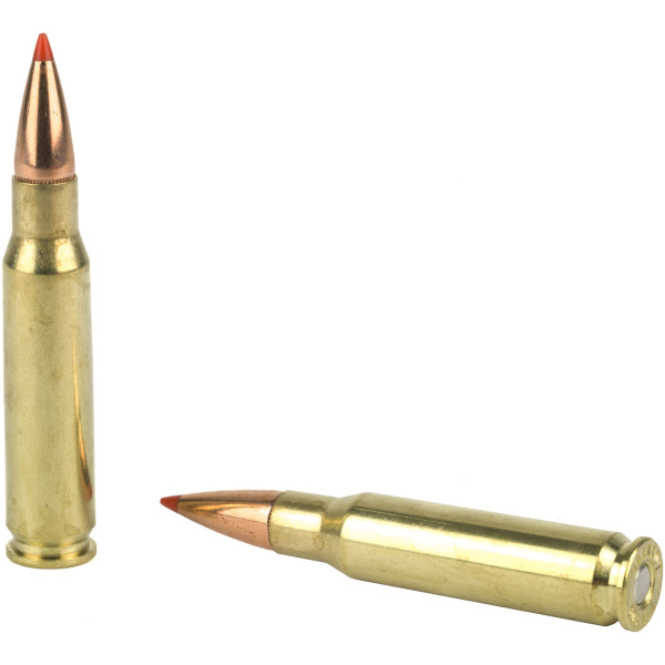 Two rifle cartridges on a white background.