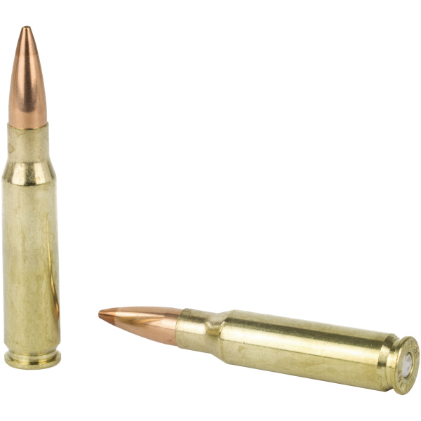Two rifle bullets on white background.