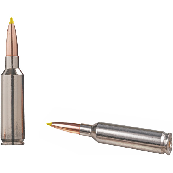 Two rifle cartridges on white background.