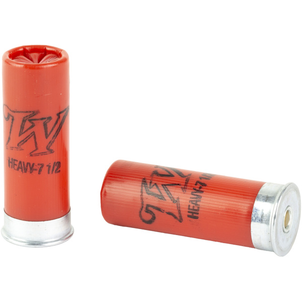 Two red shotgun shells isolated on white background.