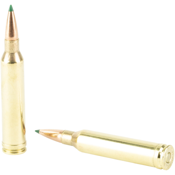 Two rifle cartridges on white background