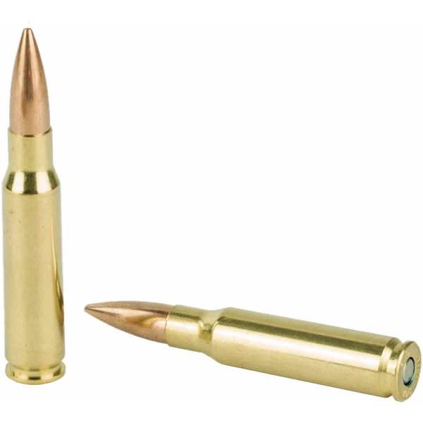 Two rifle bullets on white background.