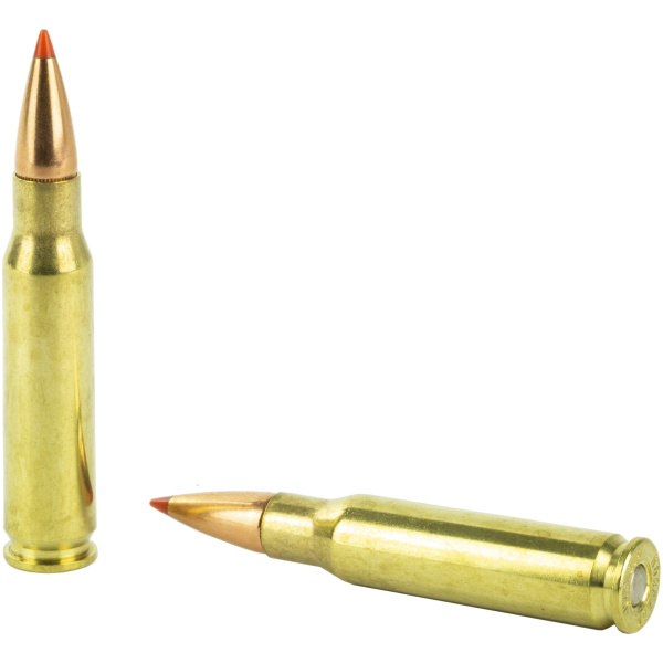 Two rifle bullets on a white background.