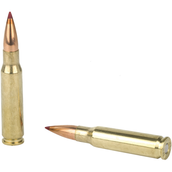 Two rifle bullets isolated on white background.