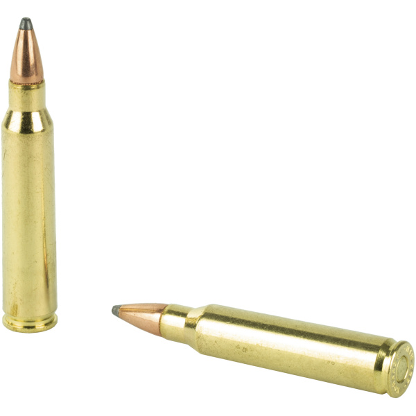 Two rifle bullets on white background.