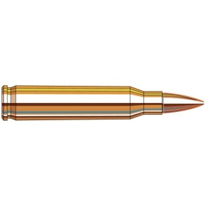 Illustration of a bullet cartridge