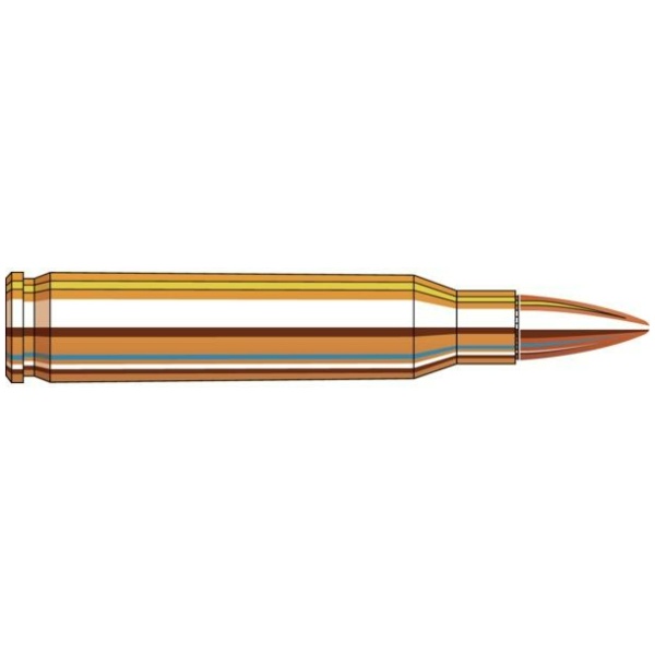 Illustration of a bullet cartridge