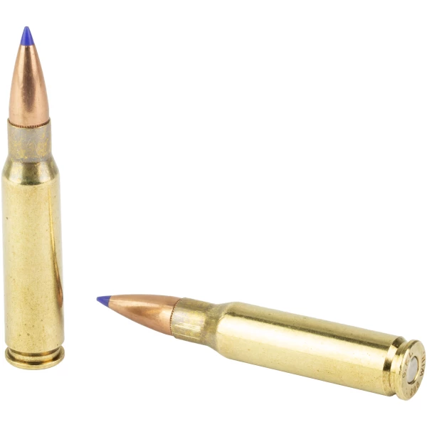 Two rifle cartridges with blue tips on white.